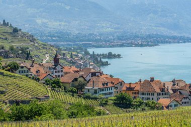 İsviçre Güzel Lavaux şaraphane bölgede Rivaz d., denilen küçük bir şaraphane köy görüntüleyin