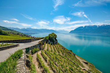 Lavaux bağ, Unesco Dünya Mirası sit alanı. Terrasses ve Cenevre Gölü (Lac Leman) İsviçre'de görüntüleme