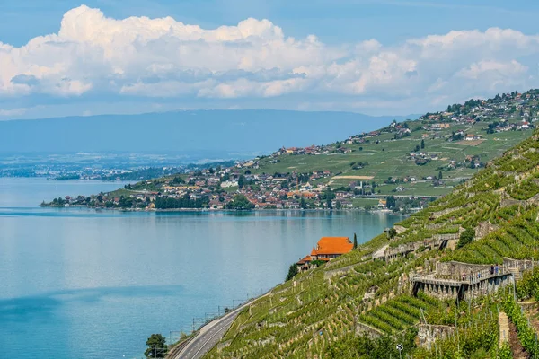 Zobrazit Ženevském Jezeře Směrem Lausanne Oblasti Krásné Terrasses Lavaux Vína — Stock fotografie