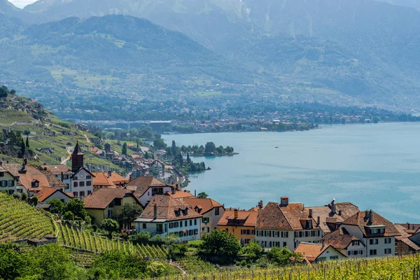 Visa Liten Vingård Som Heter Rivaz Området Vackra Lavaux Winery — Stockfoto