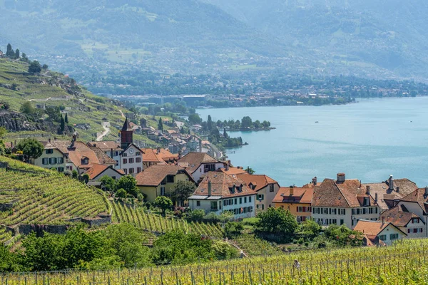 View Little Winery Village Called Rivaz Beautiful Lavaux Winery Area — Stock Photo, Image