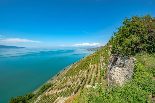 Vista Sobre Lago Genebra Direção Montreux Partir Bela Área Terraços — Fotografia de Stock