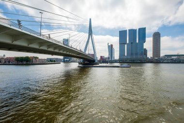 Gökdelenler ve Erasmus bridge Rotterdam manzarası
