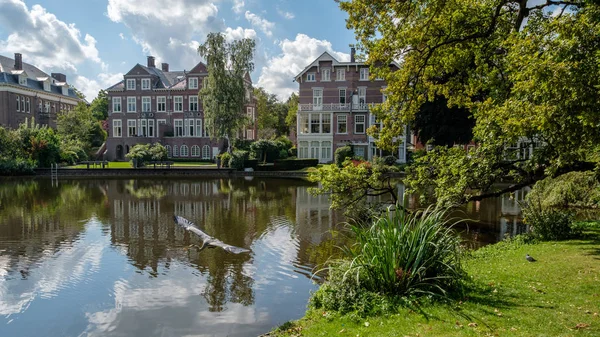 Ein Blauer Reiher Einem Teich Stadtpark Vondelpark Amsterdam Center Niederlande — Stockfoto