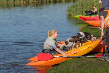 Köpek ve eğitmenlik Kano yapmaktadır. Delft, Hollanda - 23 Eylül 2017: Köpek hayatta kalma 2017 olay Doğa Parkı yakın Delft, Hollanda