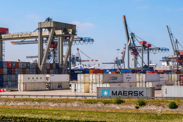 Container Terminal Rotterdam Harbor Port Rotterdam Netherlands — Stock Photo, Image