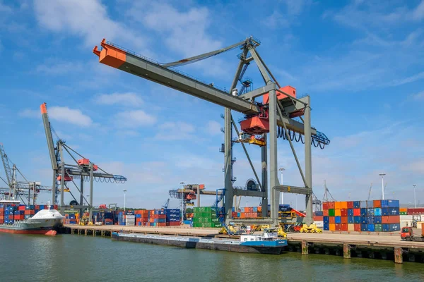 Rotterdam Limanı Deniz kapsayıcılar için büyük vinç konteyner terminali içinde. Bağlantı noktası Rotterdam, Hollanda.