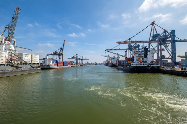  Waalhaven, konteyner terminal bağlantı noktası Rotterdam bir görünüm. Bağlantı noktası Rotterdam, Hollanda.