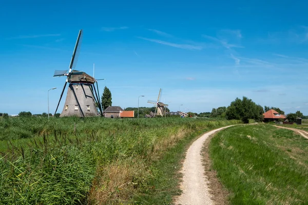 Two windmills on a dyke along the polder  near the village of Maasland, the Netherlands. Maasland is a village in the province of South Holland in the Netherlands