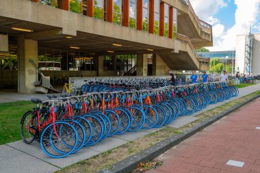 Delft Teknik Üniversitesi, Hollanda'nın yeni öğrenciler için mavi lastikleri ile yeni renkli Bisiklet.