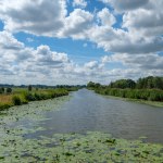 オランダ、ロッテルダムの近くに水植物、典型的なオランダの干拓地と運河の上曇りの青い空.