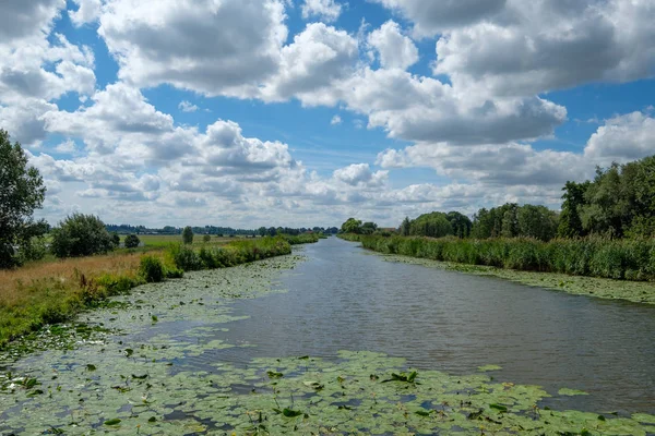 Cielo Blu Nuvoloso Sopra Tipico Canale Polder Olandese Con Piante — Foto stock gratuita