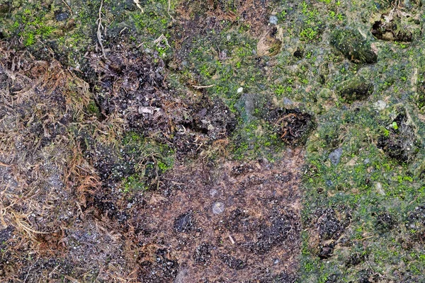 Kleurrijke Abstracte Achtergrond Van Mossy Vulkanische Tufsteen Rock Warme Gekleurde — Stockfoto