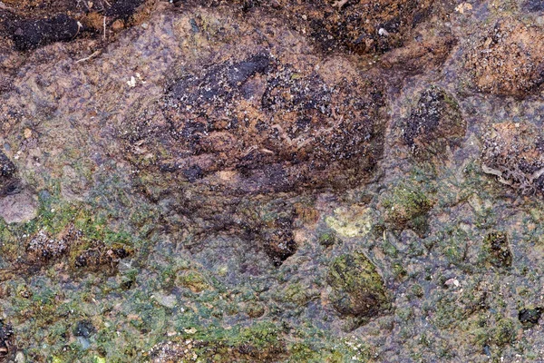 Kleurrijke Abstracte Achtergrond Van Mossy Vulkanische Tufsteen Rock Warme Gekleurde — Stockfoto