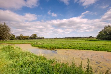 Güzel yeşil çayır manzara mavi gökyüzü karşı beyaz bulutlar ile duckweed ile geniş hendek. Kırsal yer, şehir Schiedam, Rotterdam, Hollanda yakın sadece birkaç 100 metre.