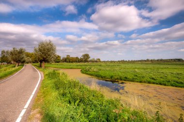 Güzel yeşil çayır manzara mavi gökyüzü karşı beyaz bulutlar ile duckweed ile geniş hendek. Kırsal yer, şehir Schiedam, Rotterdam, Hollanda yakın sadece birkaç 100 metre.