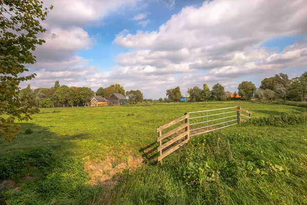 美しい曇り空のファームの美しい緑の牧草地の大規模なフェンス 農村部の場所 ロッテルダム オランダに近い スキーダム市からほんの 100 メートル — ストック写真