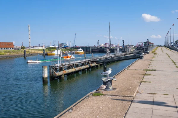 Imbarcazioni Pilota Attesa Una Nave Arrivo Una Nave Interna Salpa — Foto Stock