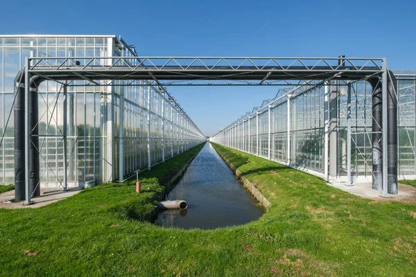 Kommersiella Glas Växthus Westland Westland Region Nederländerna Det Ligger Den — Stockfoto