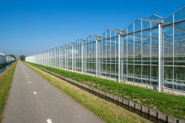 Kommersiella Glas Växthus Westland Westland Region Nederländerna Det Ligger Den — Stockfoto