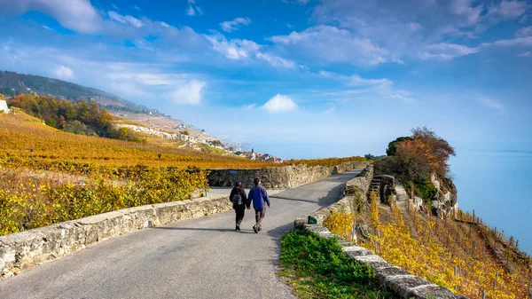Mladý Pár Pěší Turistiku Krásné Oblasti Lavaux Vinařství Nedaleko Chexbres — Stock fotografie