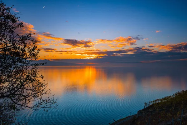 フランス アルプスと光る幻想的なオレンジ色のシルエットと秋の美しいカラフルな夕日が湖ジュネーブ スイス連邦共和国上の色を反映 — ストック写真
