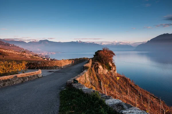 Západ Slunce Podzim Terasách Lavaux Švýcarsko Překrásným Výhledem Ženevské Jezero — Stock fotografie