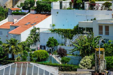 Eski evleri ve teraslı güzel bahçeleri, Lizbon, Portekiz Alfama bölgesinde kırmızı çatılarına doğal görünümünü