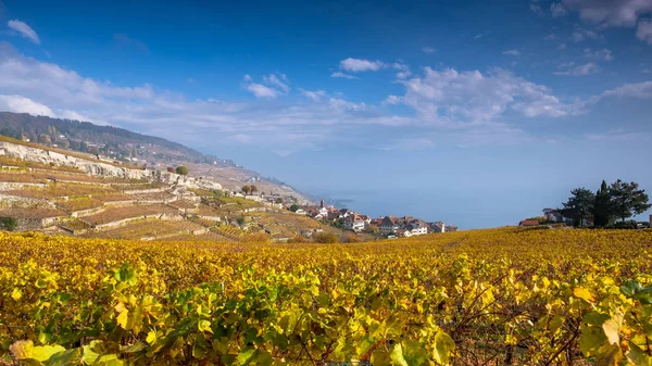 Vinice Lavaux Podzimních Barvách Unesco Světového Dědictví Unesco Zobrazit Víno — Stock fotografie