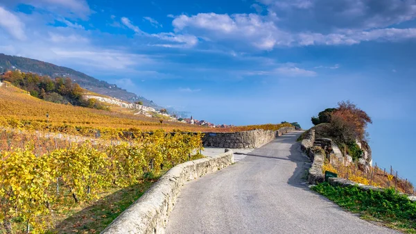 Vinice Lavaux Podzimních Barvách Unesco Světového Dědictví Unesco Zobrazit Víno — Stock fotografie