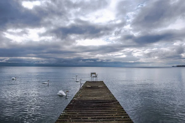 フォア グラウンドで白鳥と曇りジュネーブ湖を見渡す桟橋で放棄された椅子 — ストック写真
