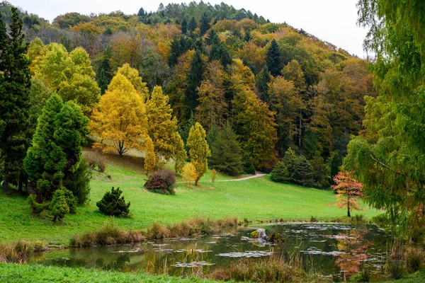 瑞士奥邦植物园上的一个美丽的池塘 美丽的秋色和水中的倒影 — 图库照片