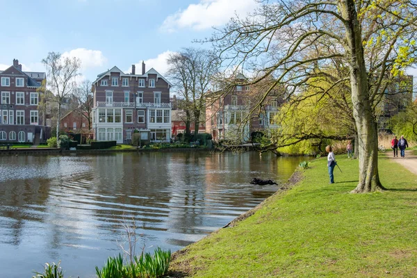 Hund genießt Frühling im vondelpark., amsterdam und springt ein — Stockfoto