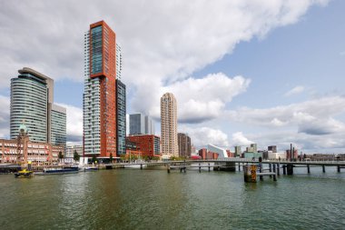 Rotterdam Kop van Zuid ve Rijnhaven Köprüsü'nün görünümü.