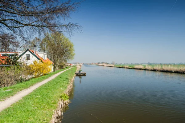 Vista panoramica con cielo blu sopra un tipico polder olandese e dyk — Foto Stock