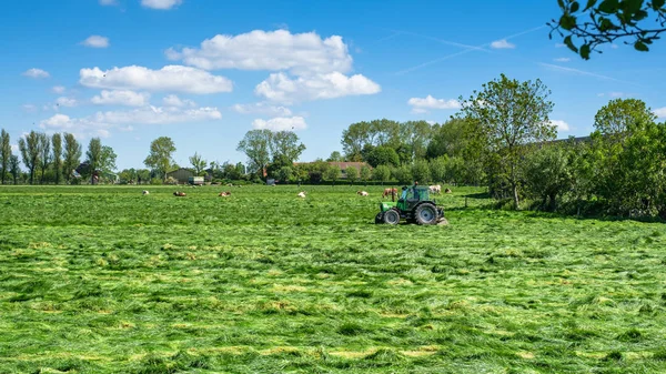 Зелений polder ландшафт і трактор, який затикає траву біля Роттердам, Нідерланди — Безкоштовне стокове фото