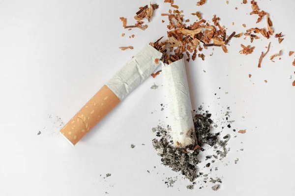 Close up of a single broken cigarette butt with ashes — Gratis stockfoto