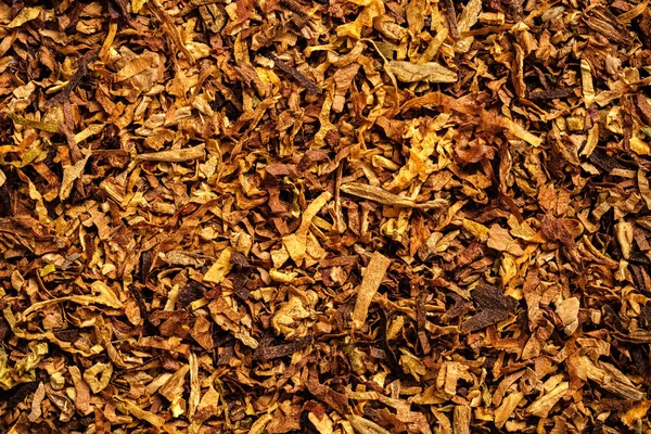 Wallpaper of sliced cigarette tobacco — Stock Photo, Image