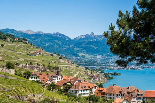 Se på en liten vingård by som heter Rivaz i det berömda Lavaux Winery-området., Schweiz — Stockfoto