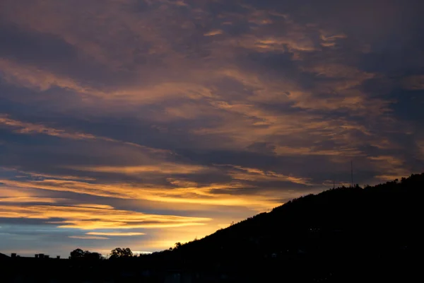Çiçekleri ve sapları ile spiderweb