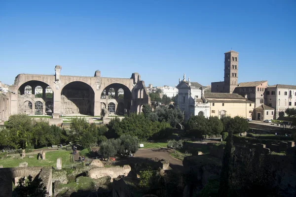 Roman Forum cityscape - Roma