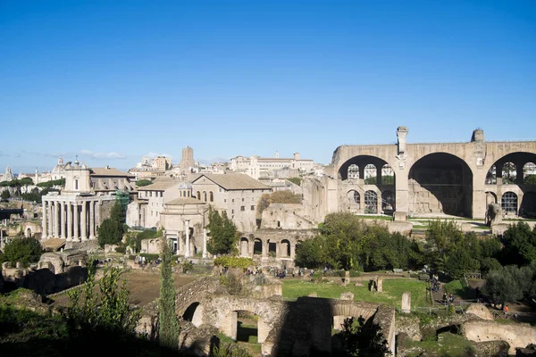 Roma forumu Roma 'da