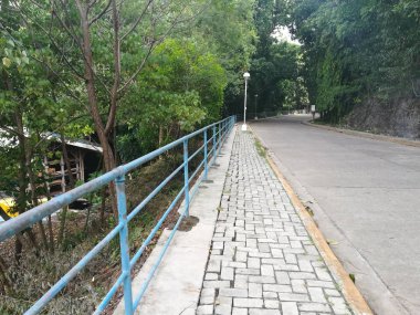 Bulutlu bir günde yeşil ormanda yol