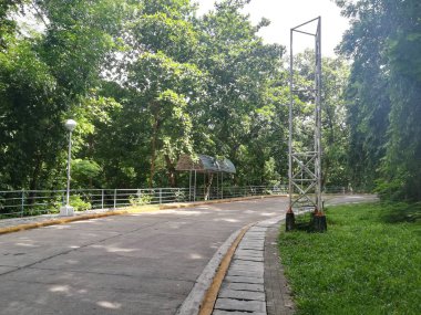 Bulutlu bir günde yeşil ormanda yol