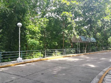 Bulutlu bir günde yeşil ormanda yol