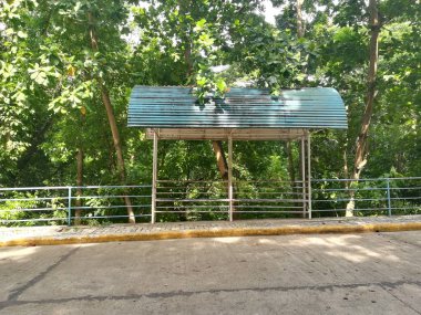 Bulutlu bir günde yeşil ormanda yol