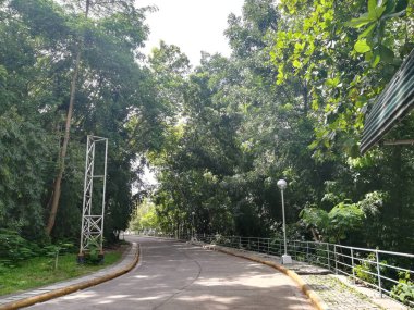 güneşli bir gün yolda eğrisi