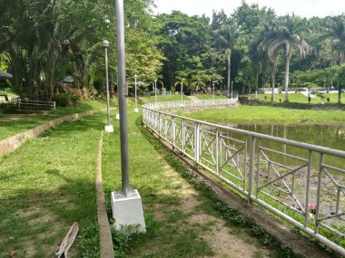 Yeşil su birikintisi ile Park