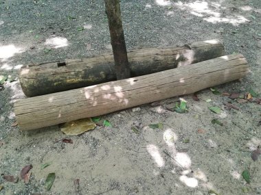 Ağaç gövdeleri parkta yerde yatıyor. 