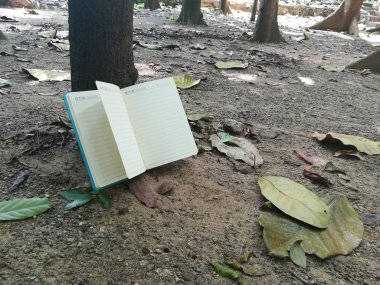 Masanın üzerinde boş beyaz bir kağıt olan açık bir kitap. Eğitim ve bilgi kavramı